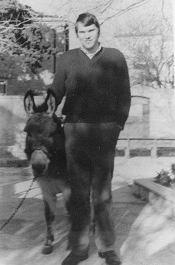 Davor Bergam