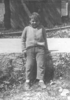 Davor Bergam